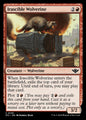 Irascible Wolverine (130) – Magic: The Gathering, Outlaws of Thunder Junction